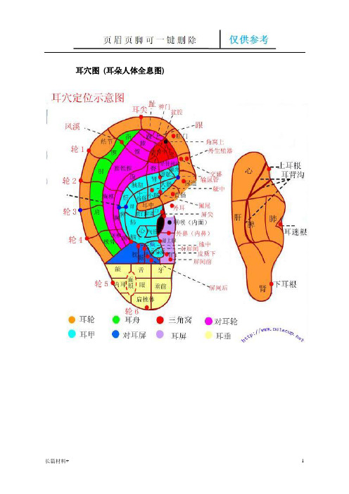 耳穴图 耳穴图 (耳朵人体全息图)(学习相关)