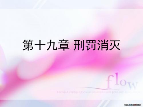 第十九章 刑罚消灭.