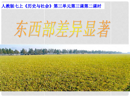 七年级历史与社会上册 第三单元 第三课 第二课时 东西部差异显著课件 人教版