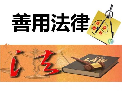 人教版《道德与法治》八年级上：5.3 善用法律 课件(共14张PPT)
