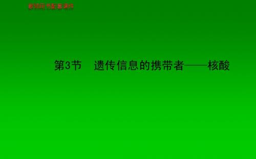 2013-2014学年高中生物 第2章  第3节 遗传信息的携带者—核酸课件 新人教版必修1