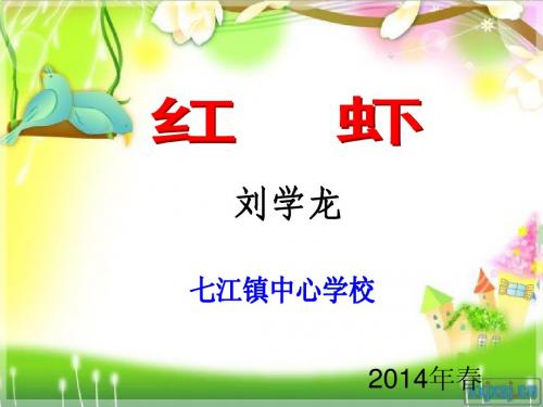 《红虾》教学课件