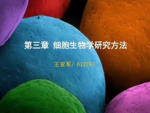 3第三章 细胞生物学研究方法-1