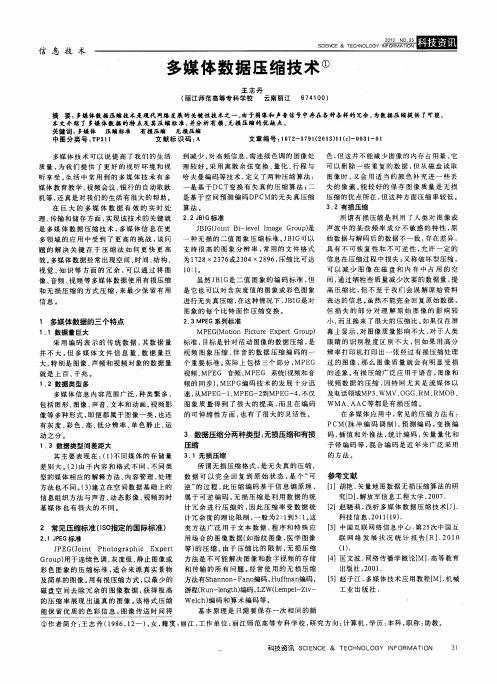多媒体数据压缩技术