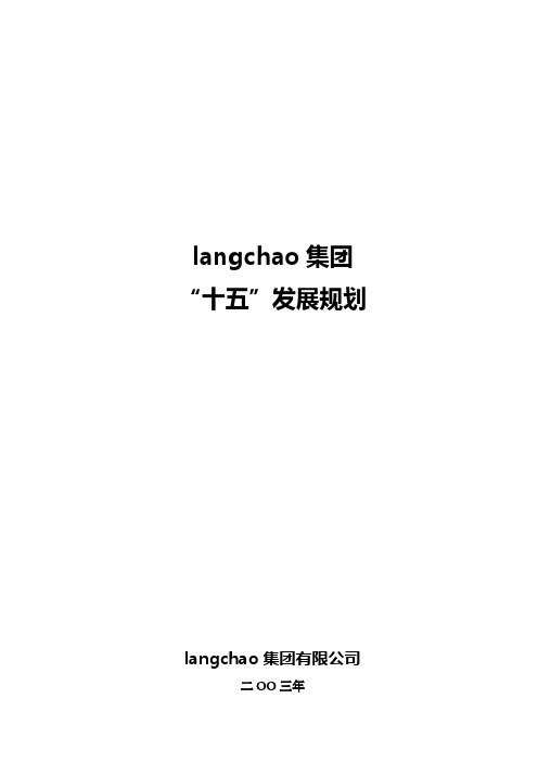集团“十五”发展规划