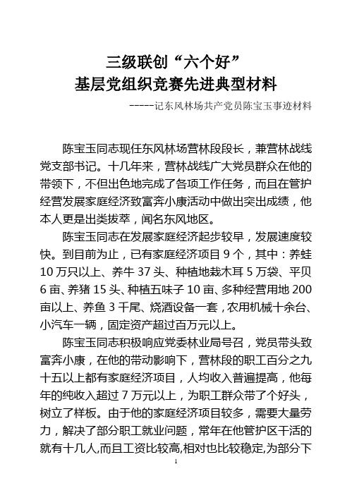 三级联创六个好基层党组织竞赛先进典型材料(陈宝玉)[2]