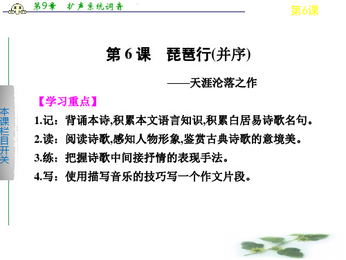 《学案导学设计》高二语文配套课件：第6课 琵琶行(并序)(新人教必修3)
