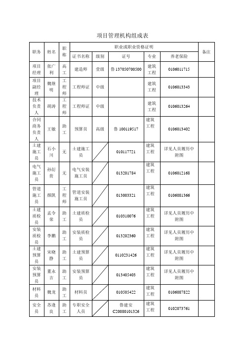 项目管理机构组成表
