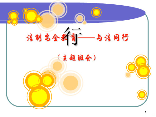 与法同行(主题班会)PPT课件