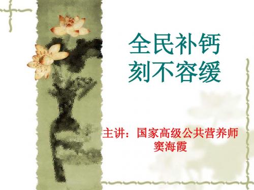 钙镁片
