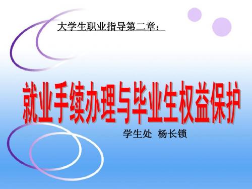 就业手续办理与毕业生权益保护