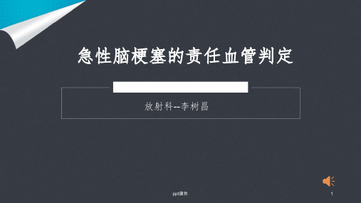 急性脑梗塞的责任血管判定PPT课件