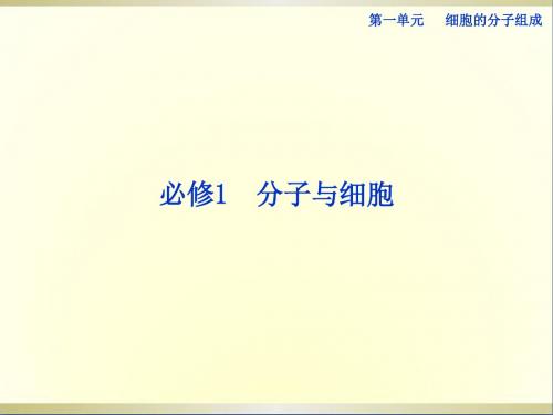高考生物一轮复习第1讲无机物、糖类和脂质课件浙科版