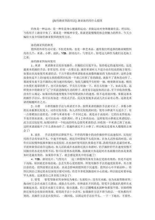 [海钓路亚饵的用法] 路亚海钓用什么假饵