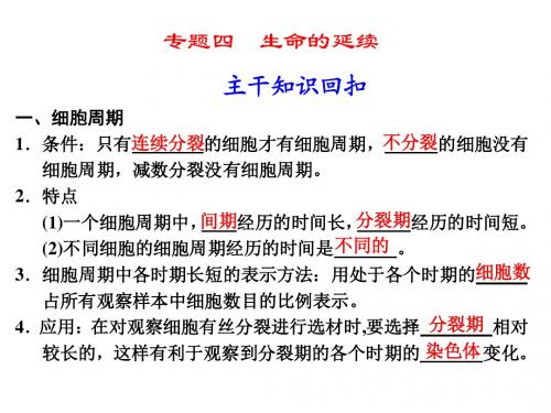 2011届高考生物第二轮主干知识点复习6