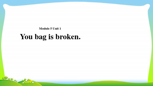外研版五年级英语下册Module5unit1yourbagisbroken课件2