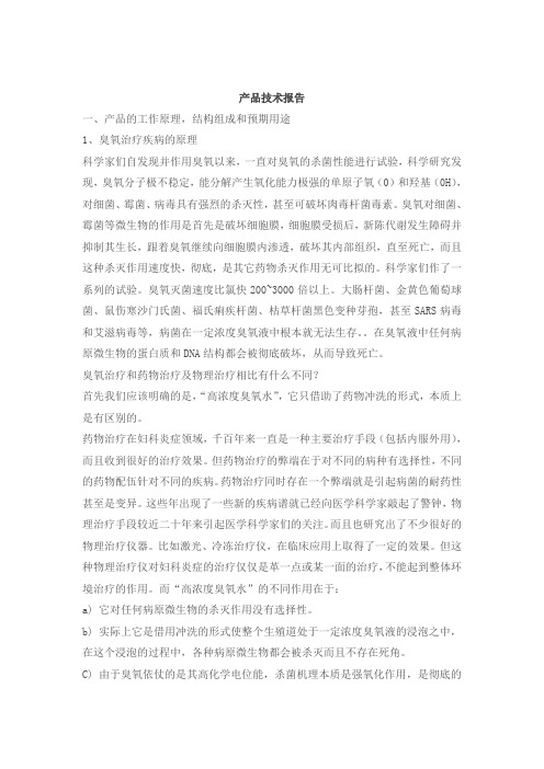 技术报告