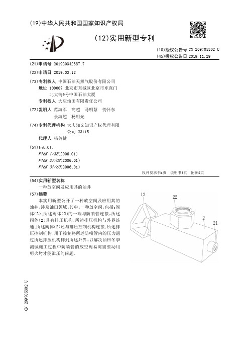 【CN209705302U】一种放空阀及应用其的油井【专利】