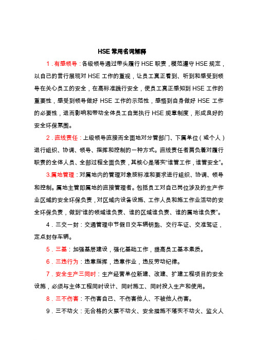 HSE常用名词解释