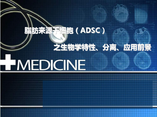 脂肪来源干细胞ADSC 之生物学特性、分离、应用前景