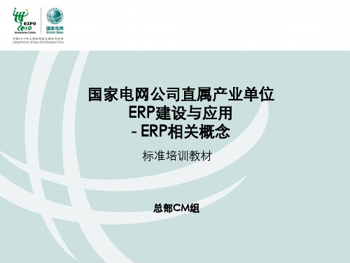 SAP基本概念介绍