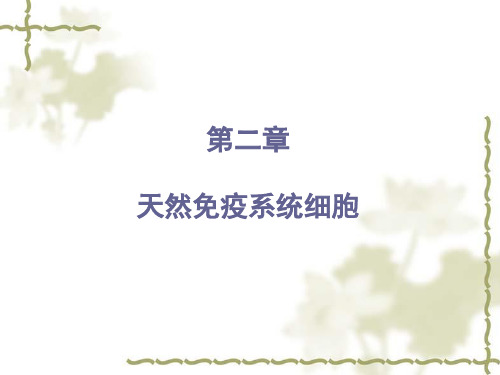 天然免疫系统细胞