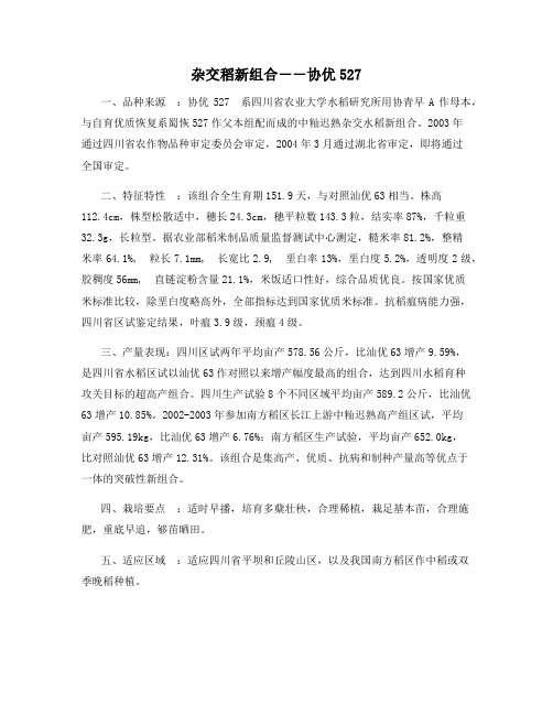 杂交稻新组合--协优527