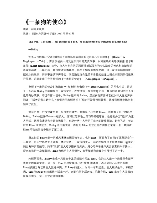 《一条狗的使命》