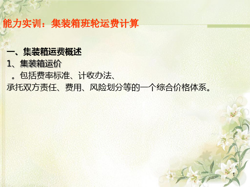 某某公司集装箱班轮运费项目管理知识计算