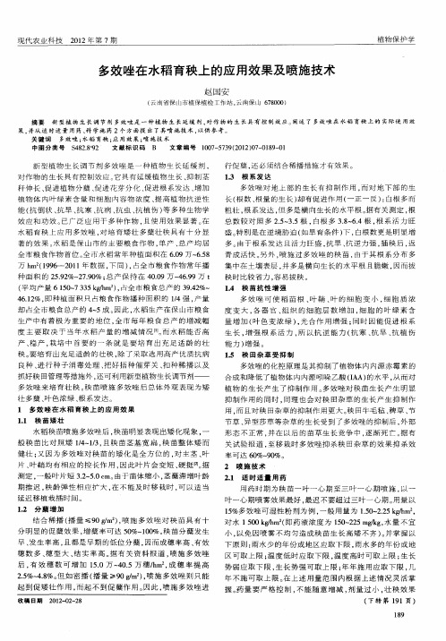 多效唑在水稻育秧上的应用效果及喷施技术