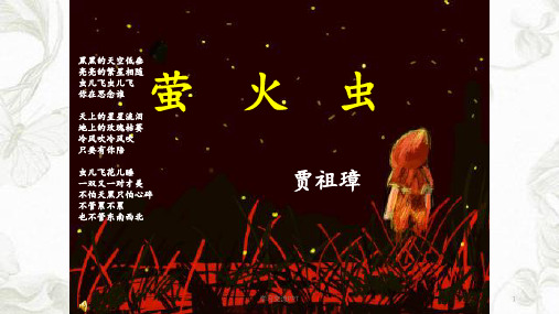 《萤火虫》课件课件