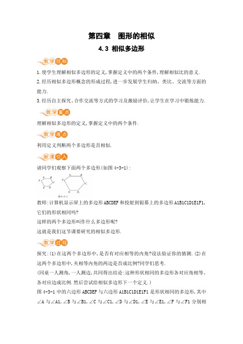 北师大版 九年级数学上册 第四章_4.3相似多边形_电子教案