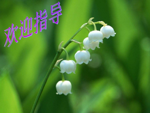 中考语文专题复习：综合性学习之解读漫画题语文课件PPT
