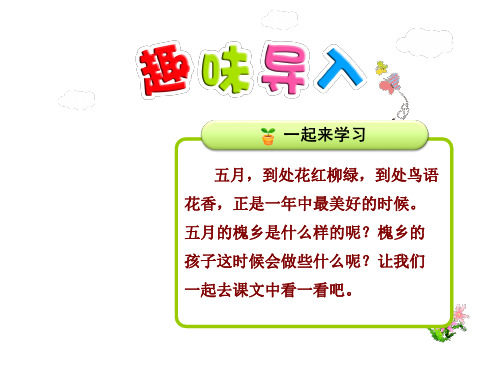 3年级语文苏教(下)第7单元第21课 槐乡五月