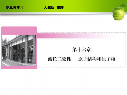 新课标2012届高考物理总复习配套课件16-1课时1波粒二象性