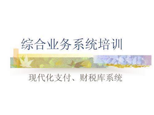综合业务系统培训(大额、小额、财税库系统)
