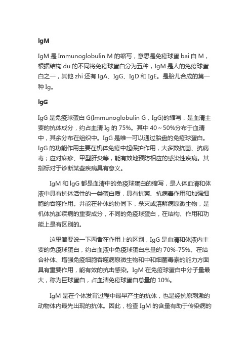 igm和igg的区别