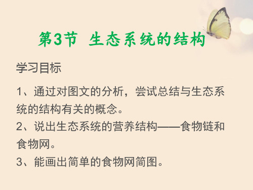 北师大版八年级生物下册第23章生态系统的结构和功能