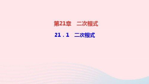 数学九年级上册21.1二次根式作业课件 华东师大版