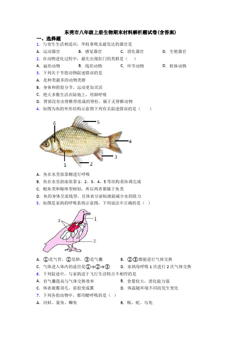 东莞市八年级上册生物期末材料解析题试卷(含答案)