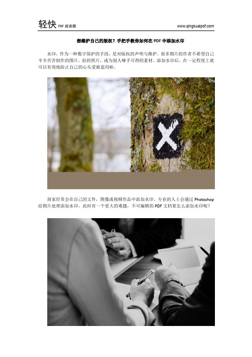 想维护自己的版权？手把手教你如何在PDF中添加水印