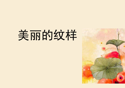 五年级美术上册《美丽的纹样》优质课件