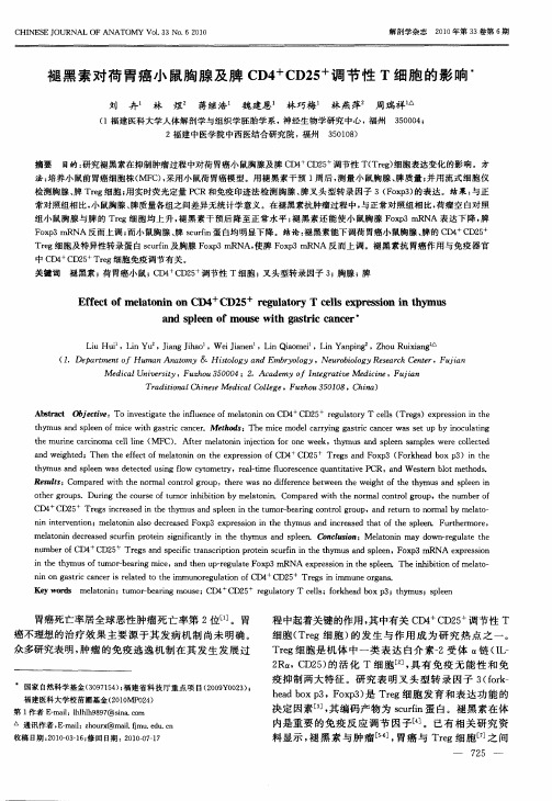 褪黑素对荷胃癌小鼠胸腺及脾CD4 +CD25 +调节性T细胞的影响
