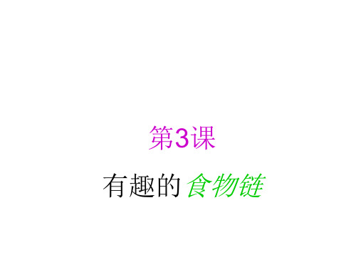 六年级下册科学课件-《有趣的食物链》4｜人教版(共9张PPT)