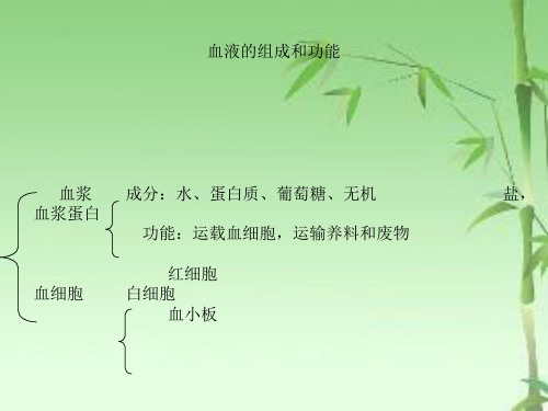 血液的组成和功能ppt