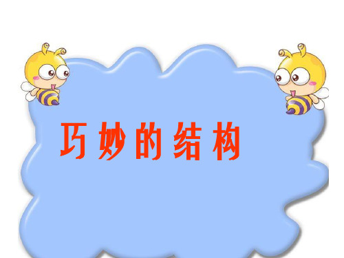 六年级下册科学课件1.2巧妙的结构冀教版