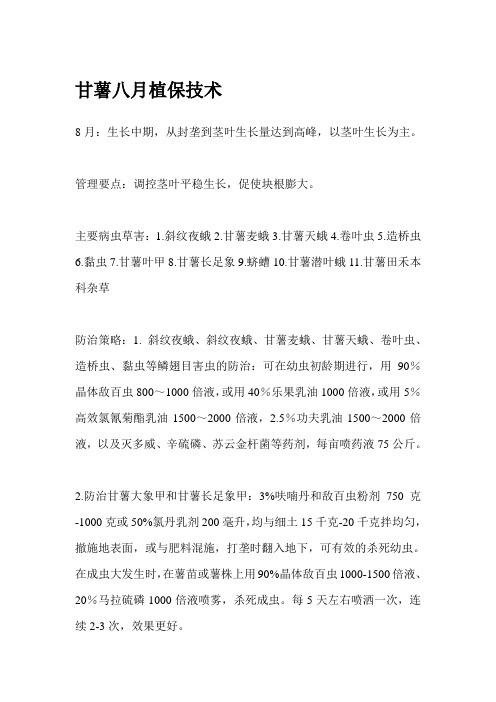 甘薯八月植保技术