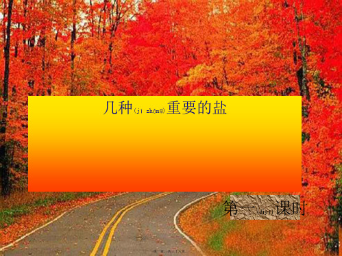 九年级科学上册《1.4.1 几种重要的盐》课件1