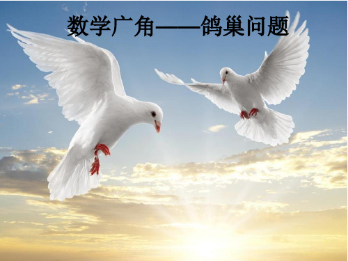 六年级数学下册课件-5 数学广角——鸽巢问题(人教版)