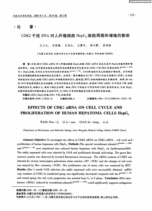 CDK2干扰RNA对人肝癌细胞HepG2细胞周期和增殖的影响
